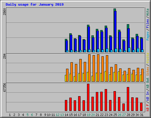 Daily usage for January 2019