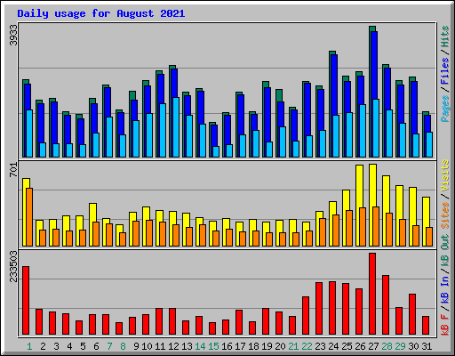 Daily usage for August 2021