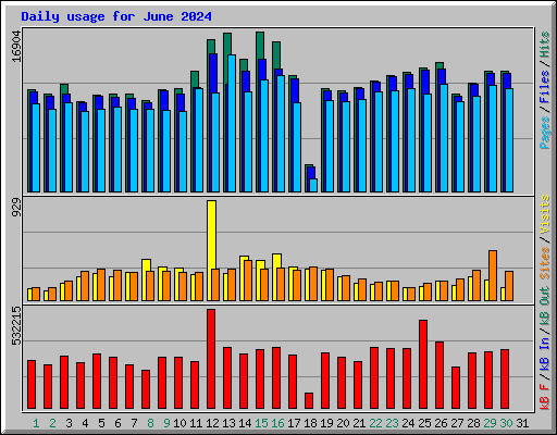 Daily usage for June 2024