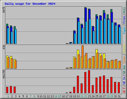 Daily usage for December 2024