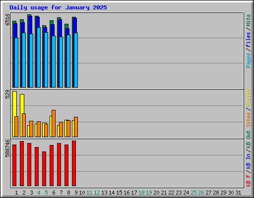 Daily usage for January 2025