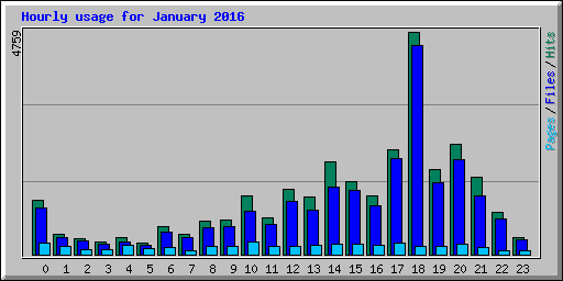 Hourly usage for January 2016