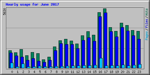 Hourly usage for June 2017