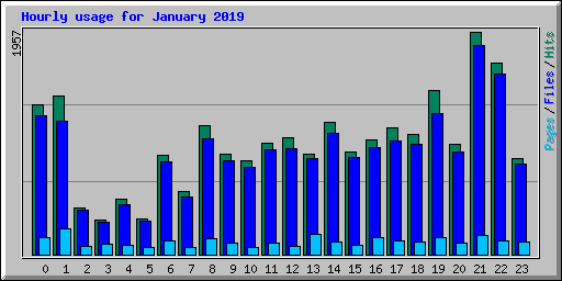 Hourly usage for January 2019