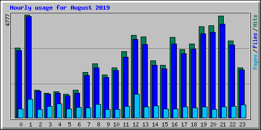 Hourly usage for August 2019