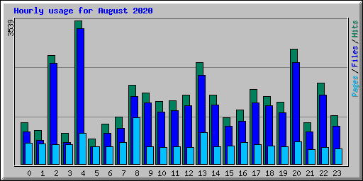 Hourly usage for August 2020