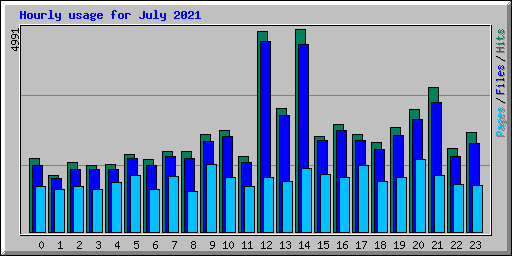 Hourly usage for July 2021