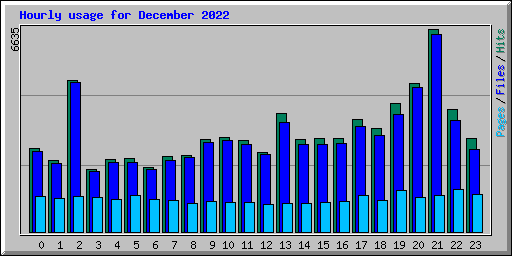 Hourly usage for December 2022