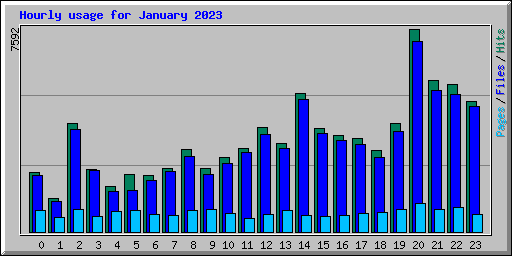 Hourly usage for January 2023