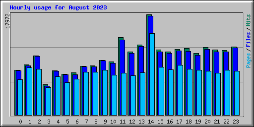 Hourly usage for August 2023