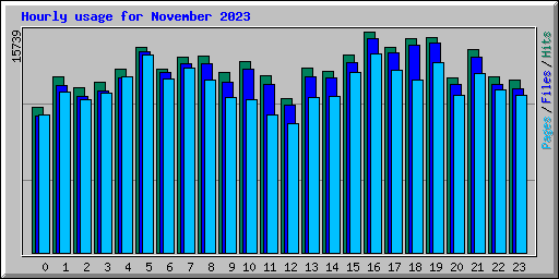 Hourly usage for November 2023