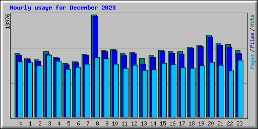 Hourly usage for December 2023