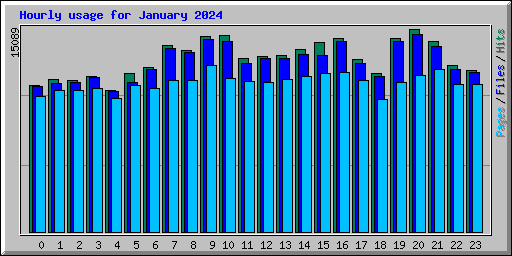 Hourly usage for January 2024