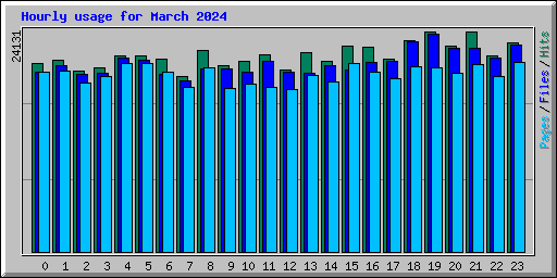 Hourly usage for March 2024