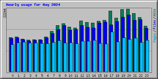 Hourly usage for May 2024