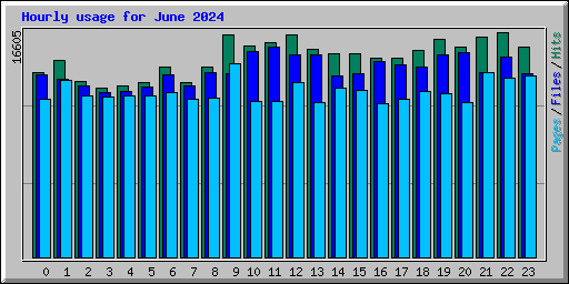 Hourly usage for June 2024