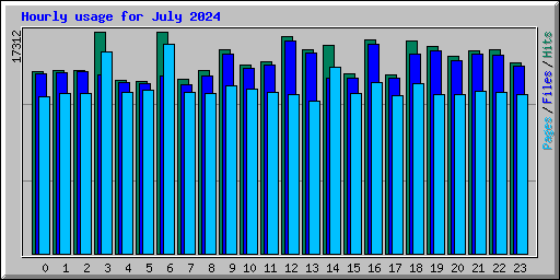 Hourly usage for July 2024