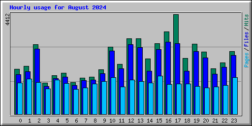 Hourly usage for August 2024