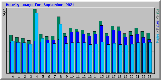 Hourly usage for September 2024