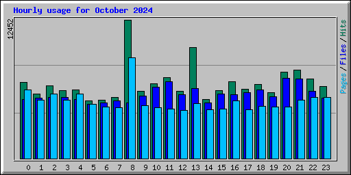 Hourly usage for October 2024