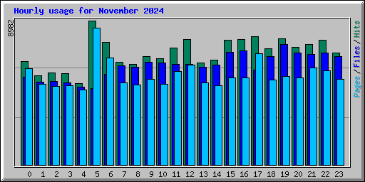 Hourly usage for November 2024