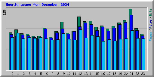 Hourly usage for December 2024