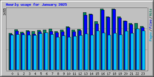 Hourly usage for January 2025